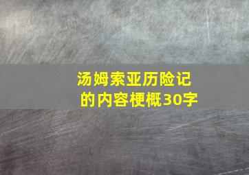 汤姆索亚历险记的内容梗概30字