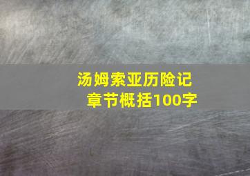 汤姆索亚历险记章节概括100字