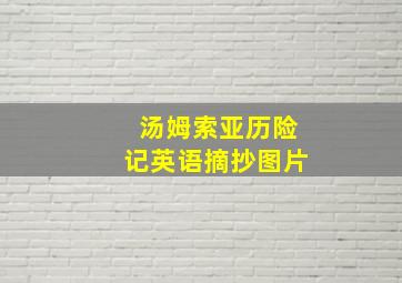 汤姆索亚历险记英语摘抄图片