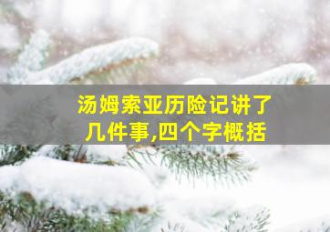 汤姆索亚历险记讲了几件事,四个字概括