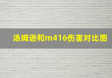 汤姆逊和m416伤害对比图