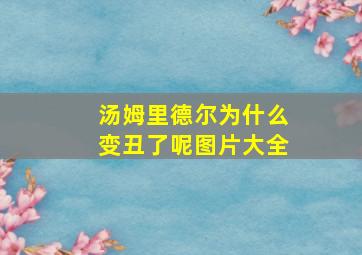 汤姆里德尔为什么变丑了呢图片大全