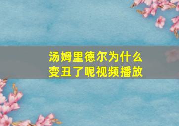 汤姆里德尔为什么变丑了呢视频播放