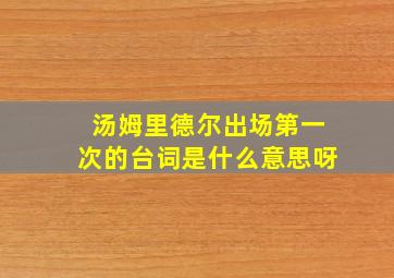 汤姆里德尔出场第一次的台词是什么意思呀