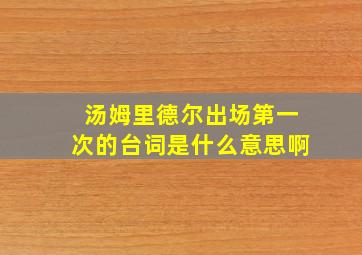 汤姆里德尔出场第一次的台词是什么意思啊