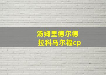 汤姆里德尔德拉科马尔福cp