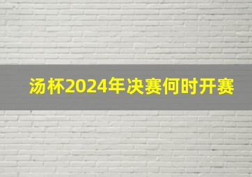 汤杯2024年决赛何时开赛