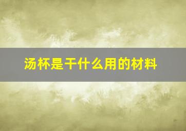 汤杯是干什么用的材料