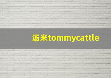 汤米tommycattle