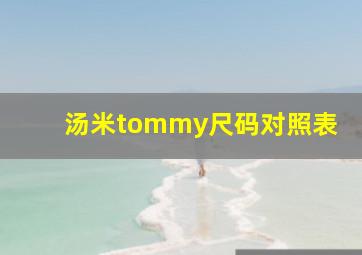 汤米tommy尺码对照表