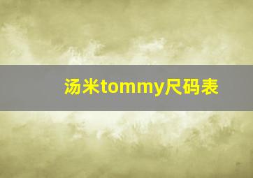 汤米tommy尺码表