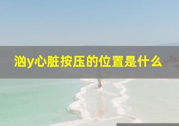 汹y心脏按压的位置是什么