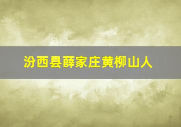 汾西县薛家庄黄柳山人