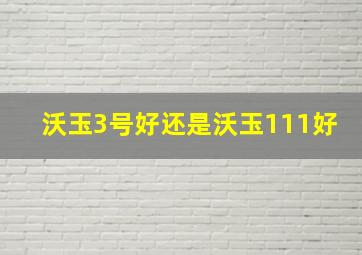 沃玉3号好还是沃玉111好