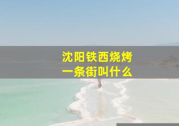 沈阳铁西烧烤一条街叫什么