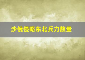 沙俄侵略东北兵力数量