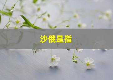 沙俄是指