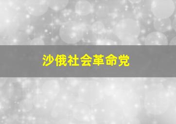 沙俄社会革命党