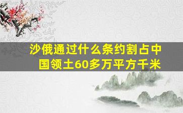 沙俄通过什么条约割占中国领土60多万平方千米