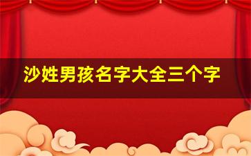 沙姓男孩名字大全三个字