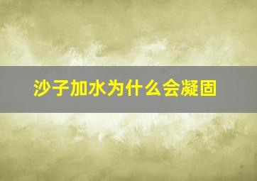 沙子加水为什么会凝固