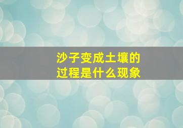 沙子变成土壤的过程是什么现象