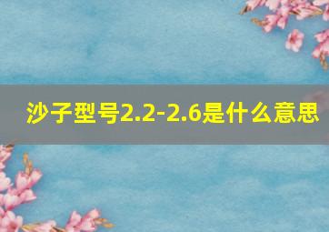 沙子型号2.2-2.6是什么意思