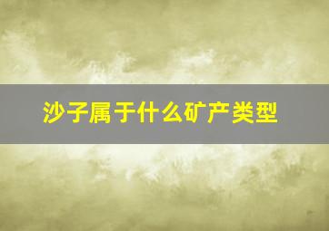 沙子属于什么矿产类型