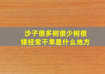 沙子很多树很少树很矮经常干旱是什么地方