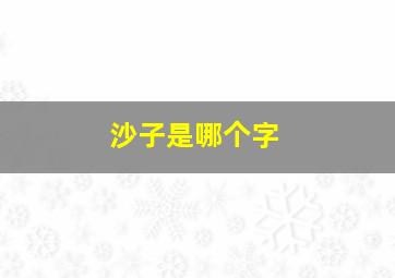 沙子是哪个字