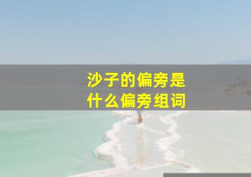 沙子的偏旁是什么偏旁组词