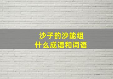 沙子的沙能组什么成语和词语