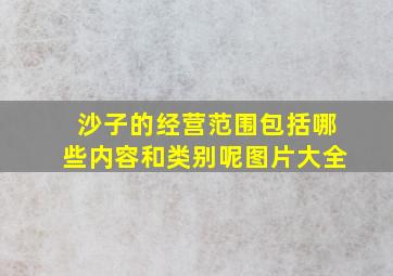 沙子的经营范围包括哪些内容和类别呢图片大全