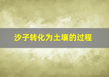 沙子转化为土壤的过程