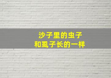 沙子里的虫子和虱子长的一样