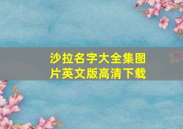 沙拉名字大全集图片英文版高清下载