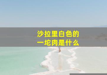 沙拉里白色的一坨肉是什么