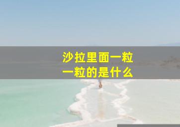 沙拉里面一粒一粒的是什么