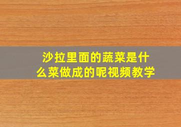 沙拉里面的蔬菜是什么菜做成的呢视频教学