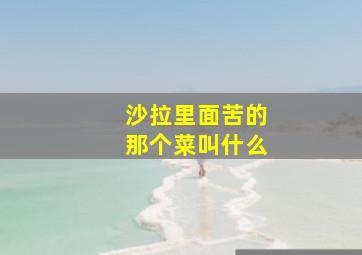 沙拉里面苦的那个菜叫什么