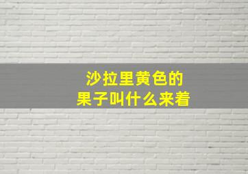 沙拉里黄色的果子叫什么来着