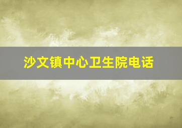 沙文镇中心卫生院电话