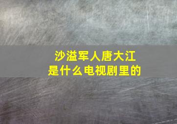 沙溢军人唐大江是什么电视剧里的