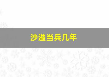 沙溢当兵几年