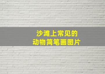 沙滩上常见的动物简笔画图片