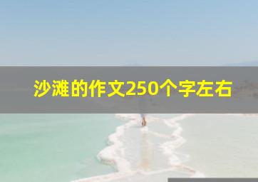 沙滩的作文250个字左右