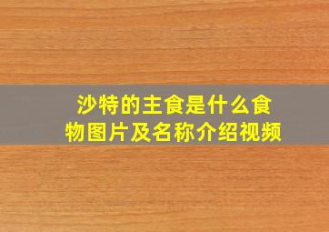 沙特的主食是什么食物图片及名称介绍视频