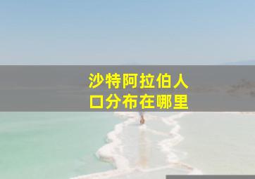 沙特阿拉伯人口分布在哪里