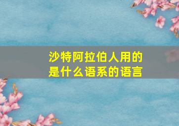 沙特阿拉伯人用的是什么语系的语言