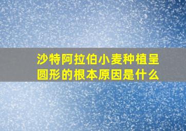 沙特阿拉伯小麦种植呈圆形的根本原因是什么